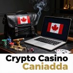 Provably Fair Online Casinos for Canadian High Rollers